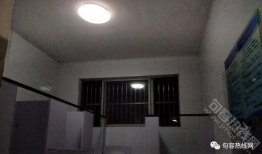 厕拍视频,揭秘那些令人捧腹的厕拍瞬间