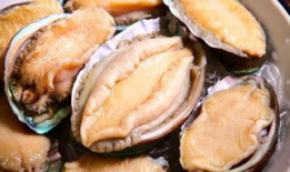 鲍鱼视频,探寻海洋珍馐背后的故事与魅力