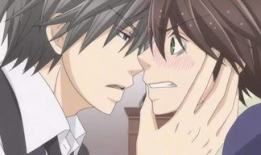 耽美h动漫,浪漫与禁忌的交织之旅